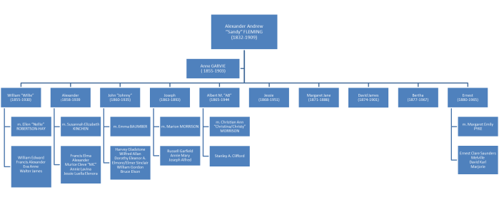 Alexander Andrew "Sandy" Fleming family tree