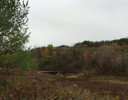 east-humber-bridge-420-329