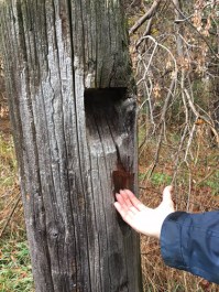 kortright-area-post-378-504