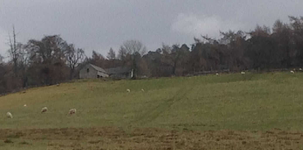 Cragganfearn, Logierait Parish, Scotland in 2018. Photo by Eddie Thomson