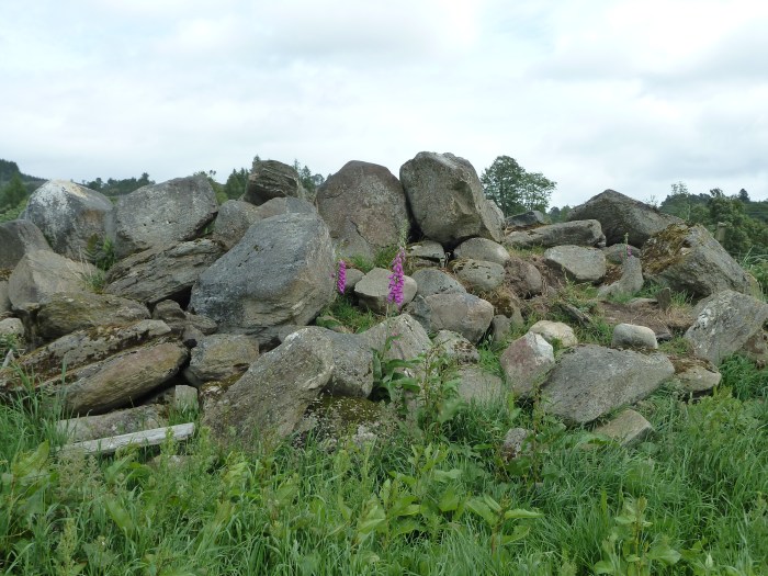 Rock pile of stones at the site of Alexander Fleming's house